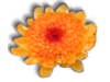 Captcha image 2336